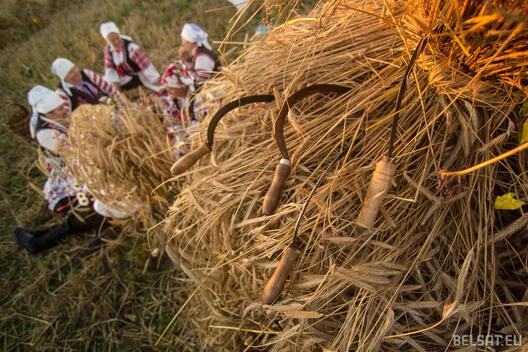 31/32 zazhynki_36.jpg